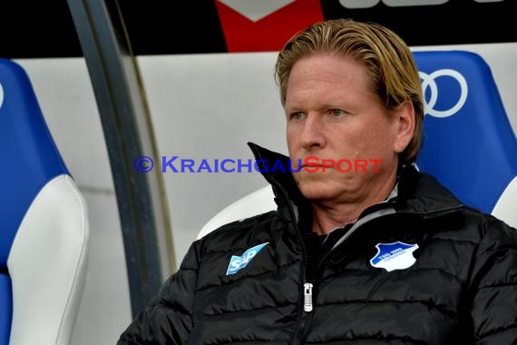 1.BL - 14/15 - TSG 1899 Hoffenheim vs Hamburger SV  (© Fotostand / Loerz)